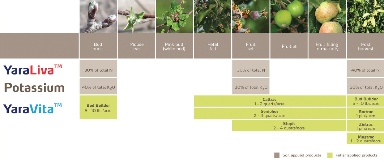 Apple crop nutrition program