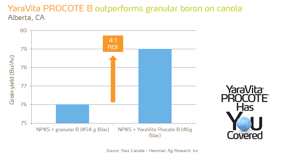 Procote B outperforms granular boron