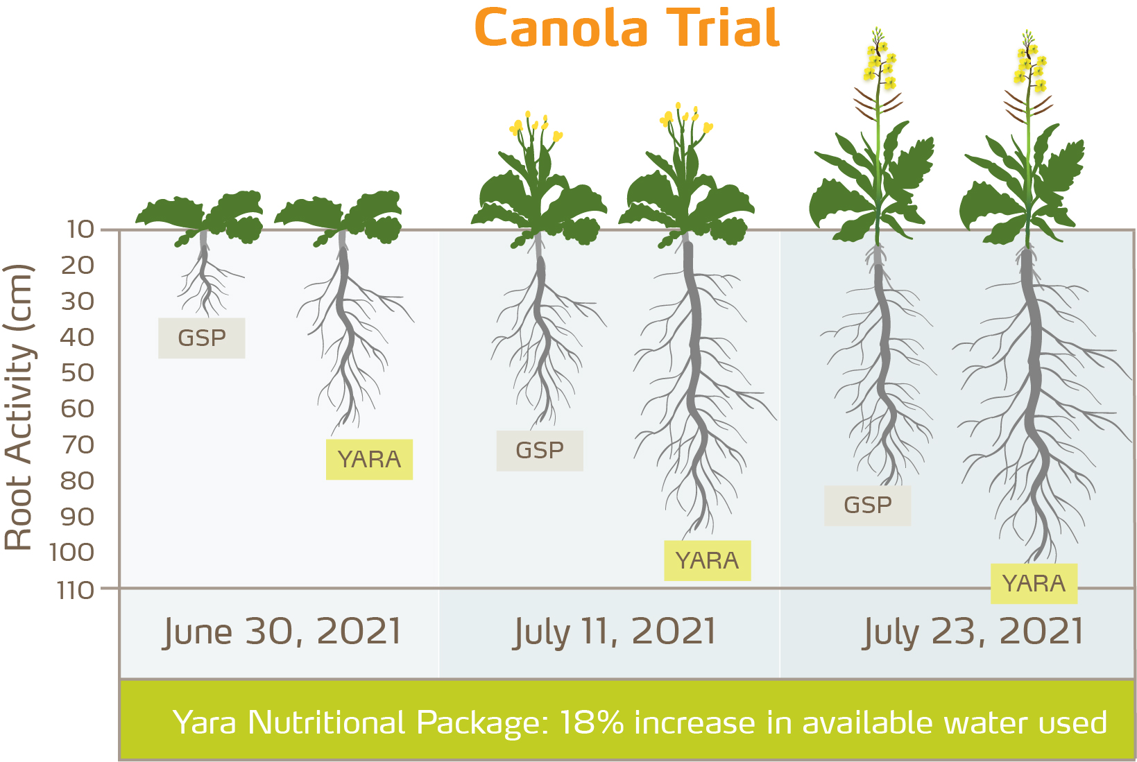 canola-trial-charts-2021-09-13.jpg