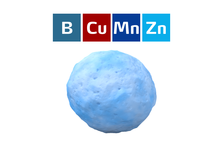 boron, copper, manganese and zinc micronutrient coating