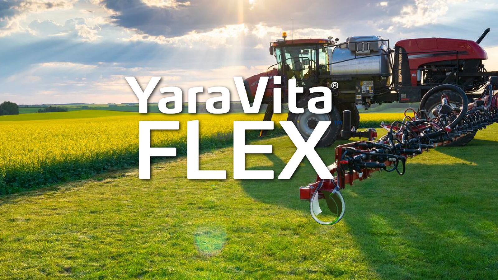 foliar application