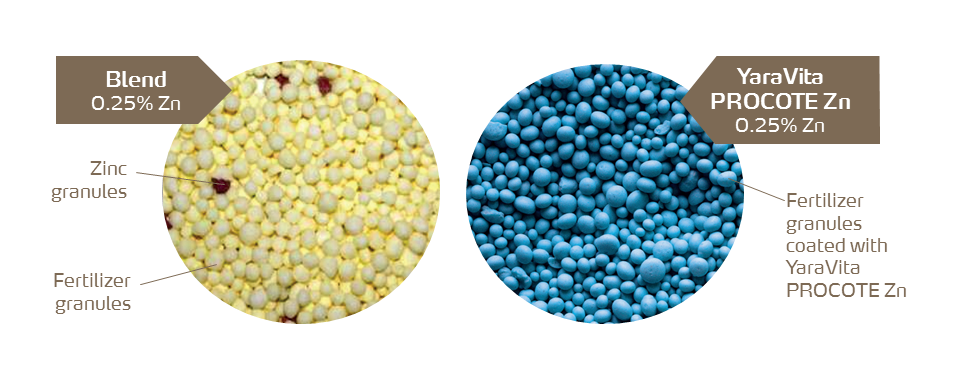procote x blend.png