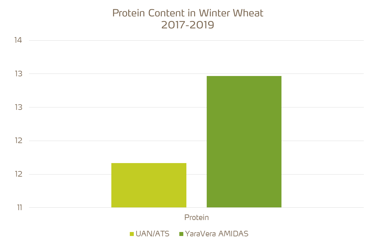amidas provides higher protein content on wheat