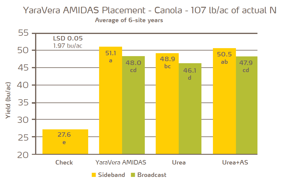 yaravera amidas placement on canola