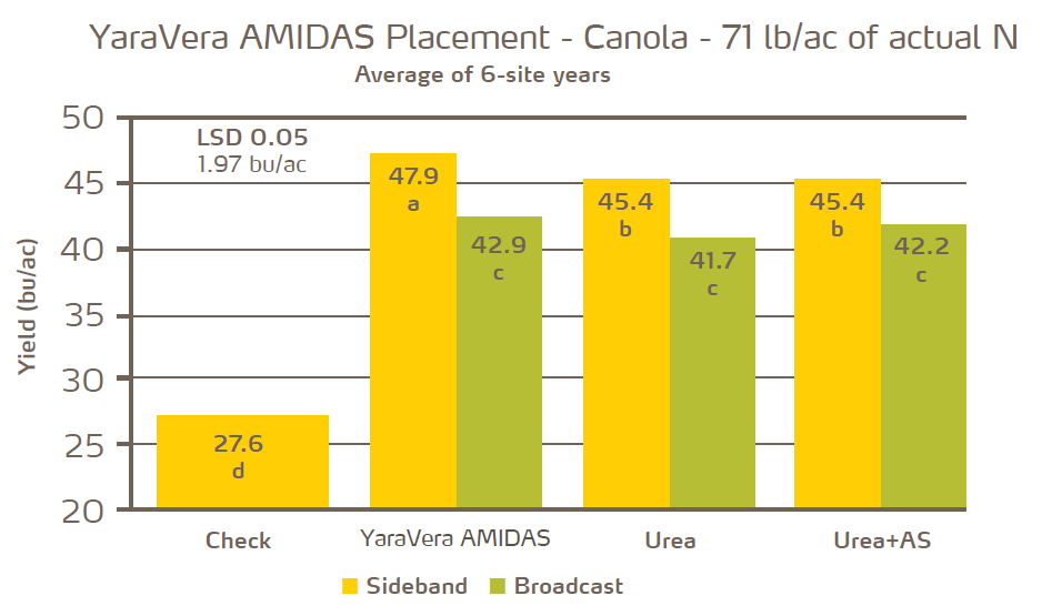 yaravera amidas placement on canola