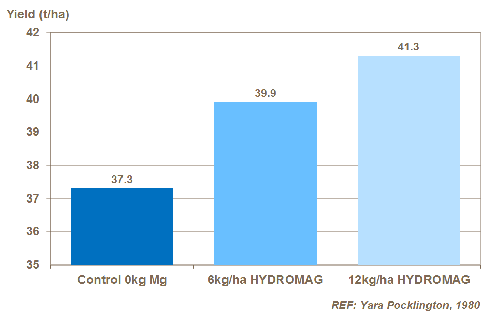 magnesium and potato yield