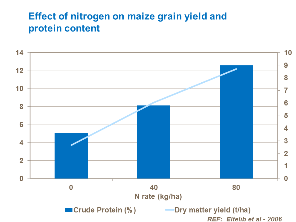 Effect of nitrogen rate on forage maize yield