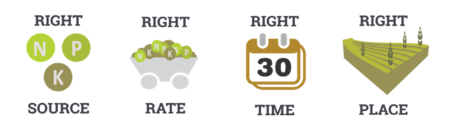 4R principles illustration - Canada.png