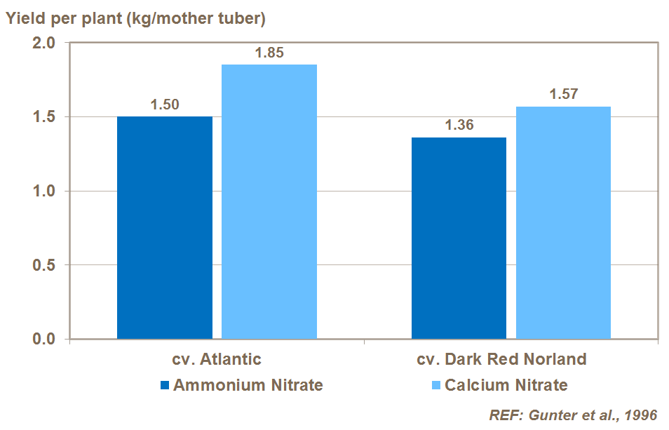 calcium and potato yield