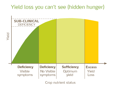 hidden hunger graph