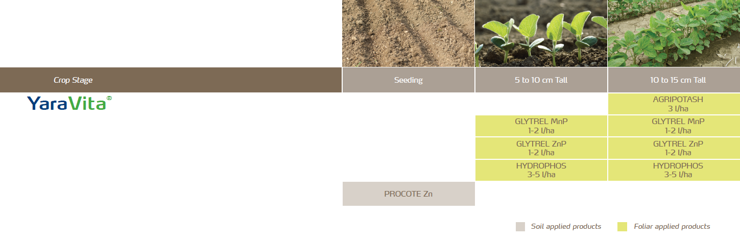 soybean crop nutrition program