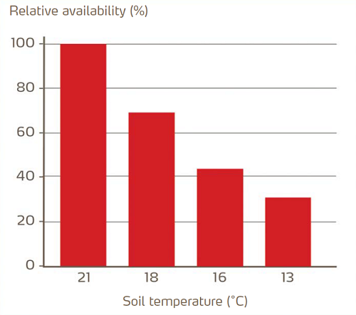 P and soil temperature graph no border.png