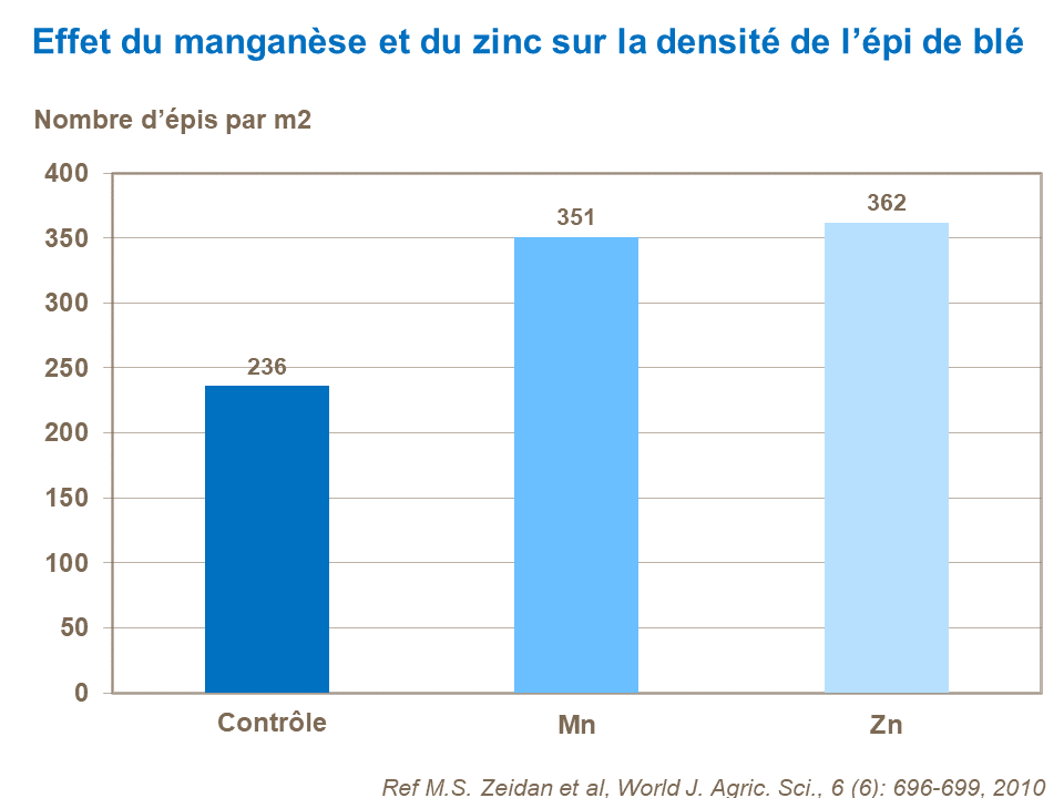 FR - effect of Mn and Zn on wheat ear density.png