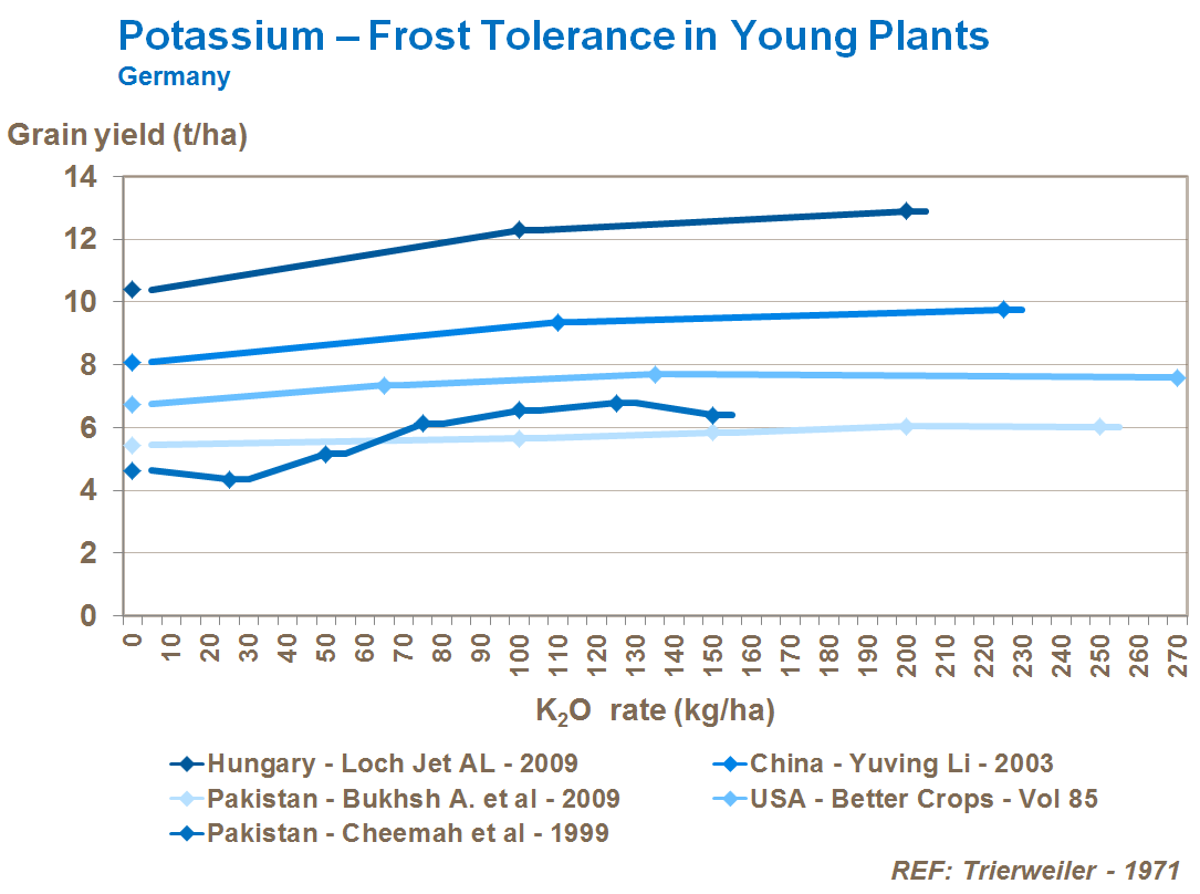 potassium and corn frost