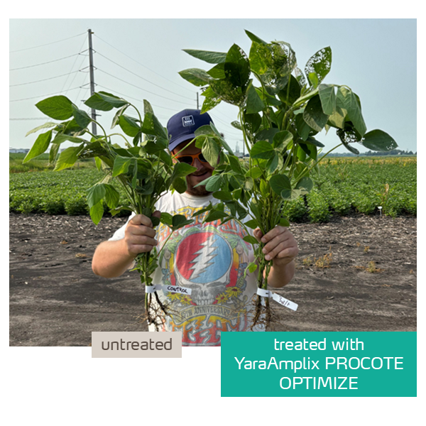 procote optimize in soybeans