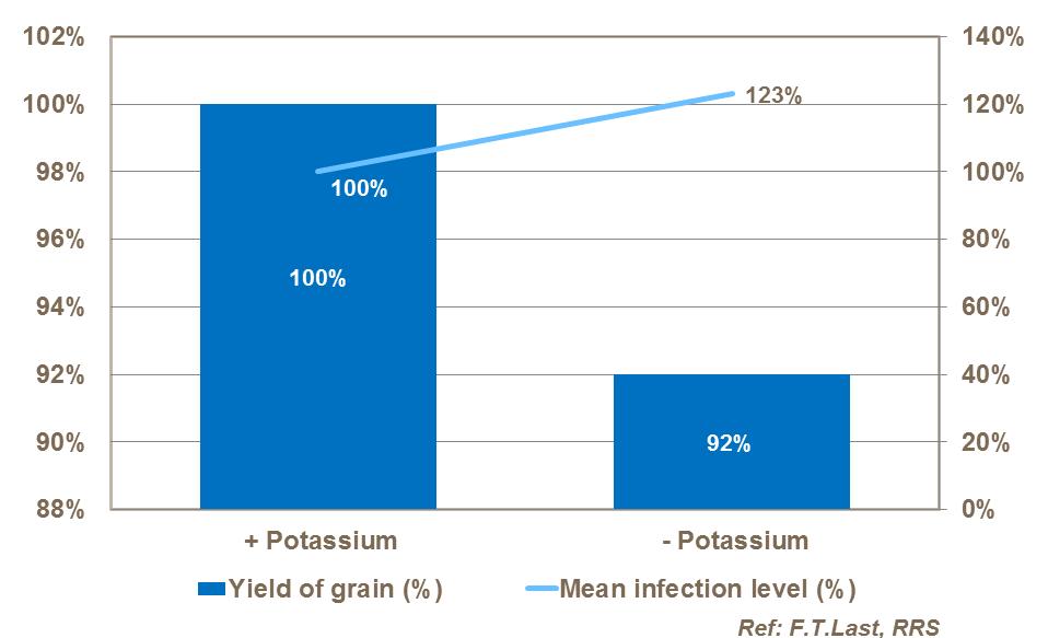 The effect of potassium on the incidence of powdery mildew