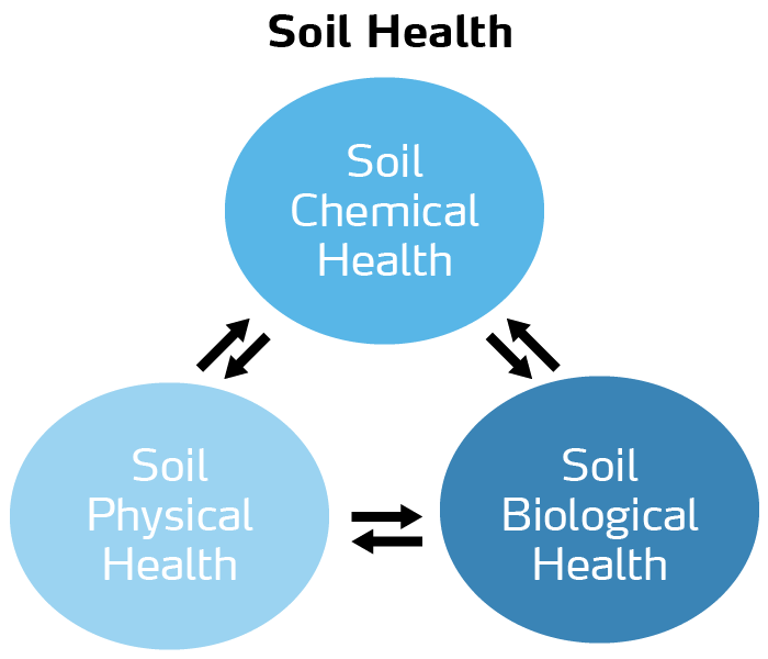 soil health diagram