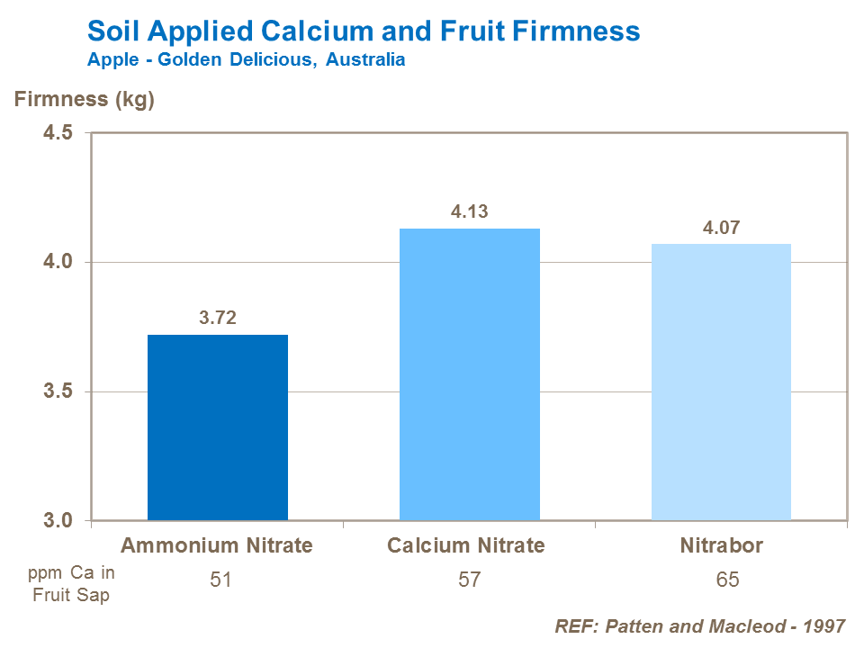 soil-applied calcium and apple fruit firmness