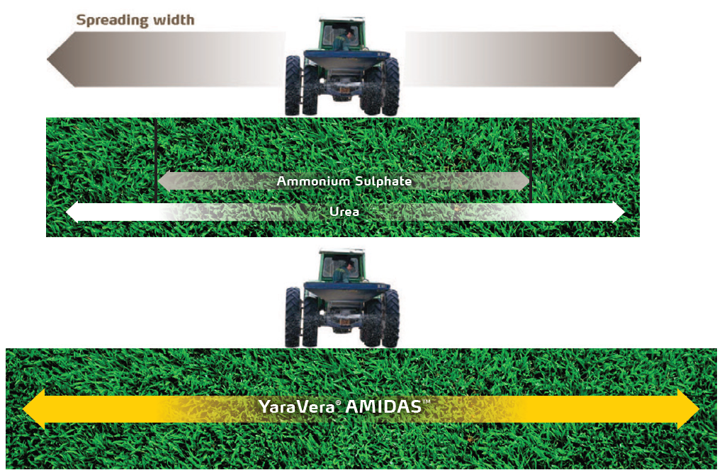 spreading width NEW.png