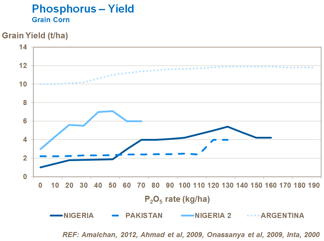phosphorus and corn yield