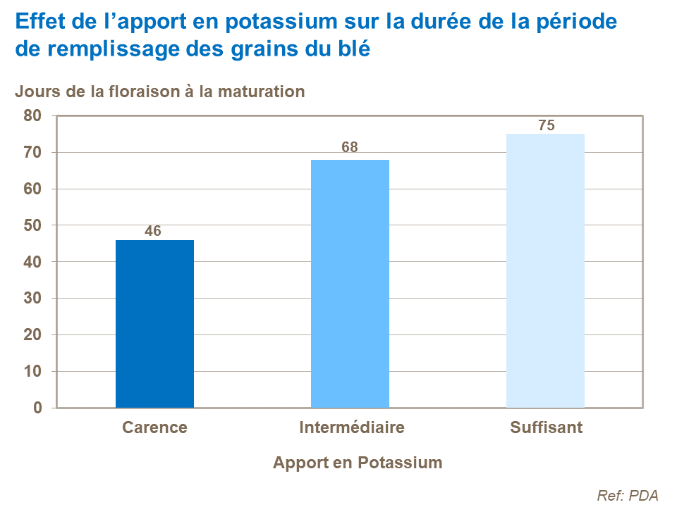 FR - effect of K on grain filling period length.png