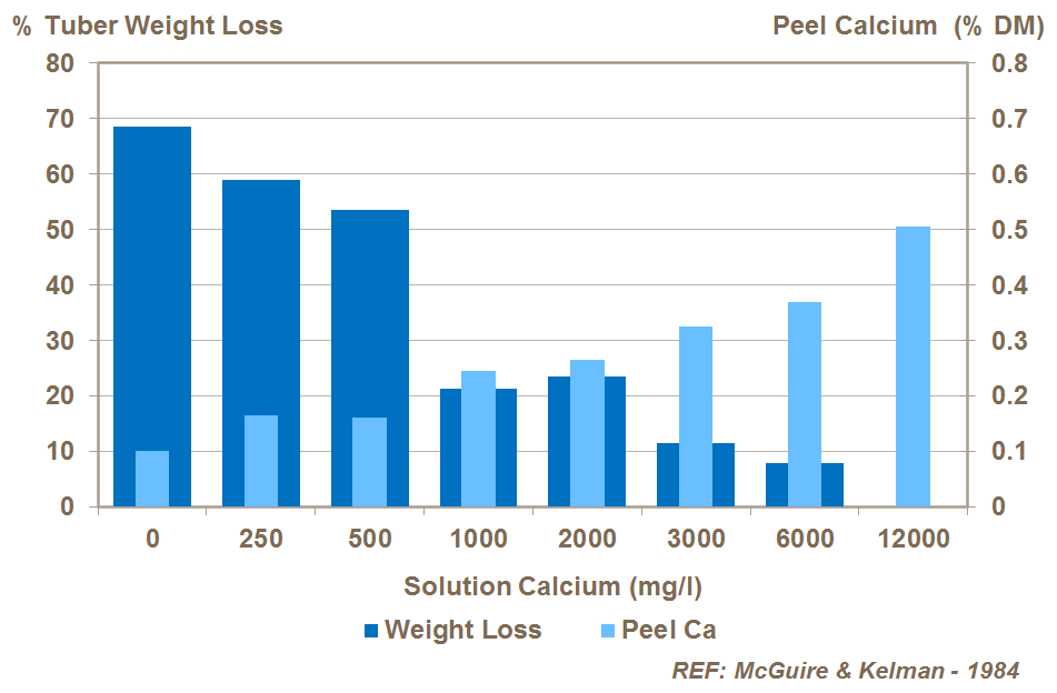 calcium and potato soft rot