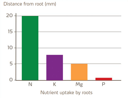 nutrient uptake - distance from root no border.png
