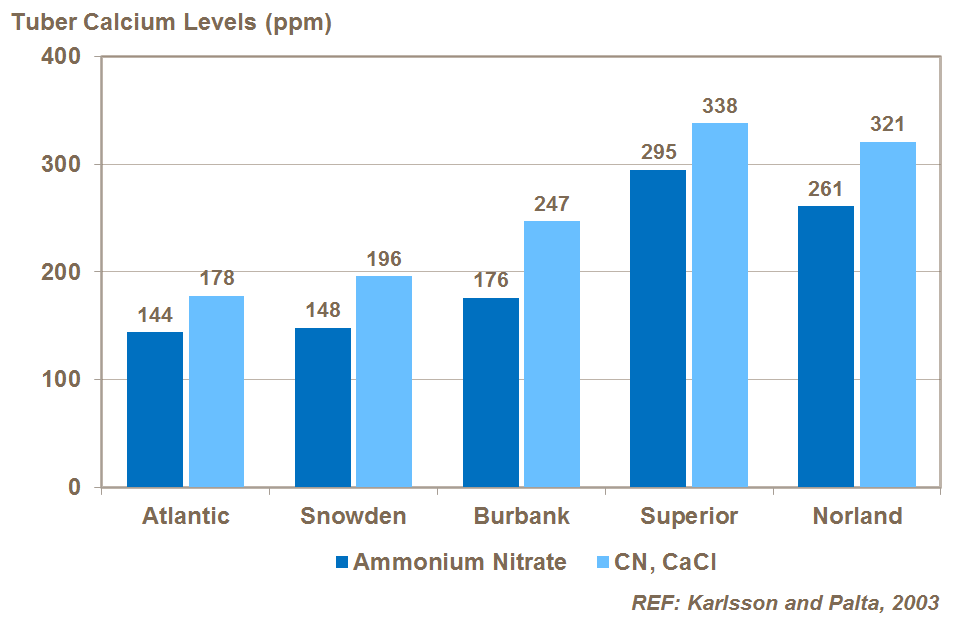 calcium uptake and potato variety