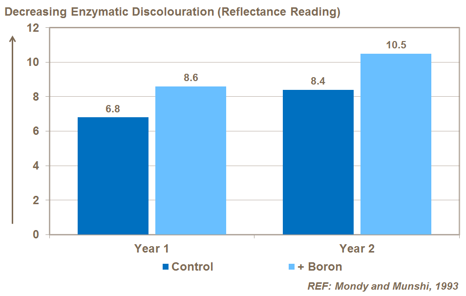 boron and tuber discolouration