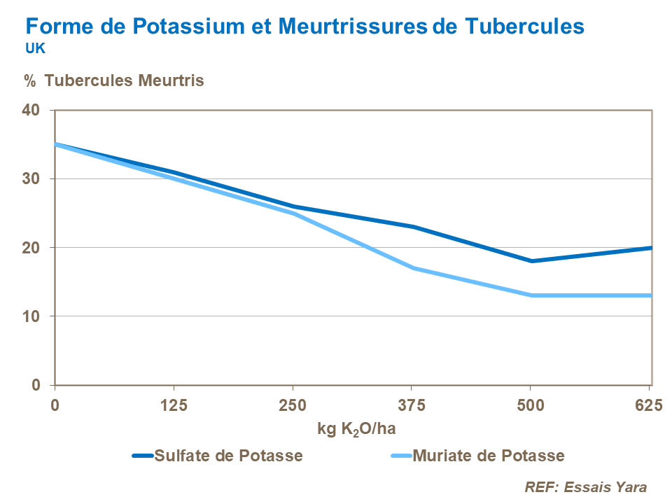 FR-potassium and tuber bruising.png