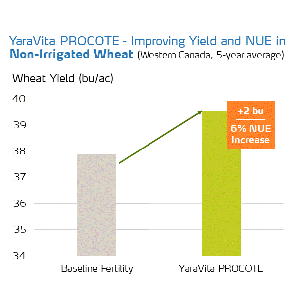 yaravita procote on non-irrigated wheat