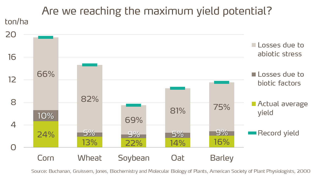 biotic and abiotic stresses impact on yield potential