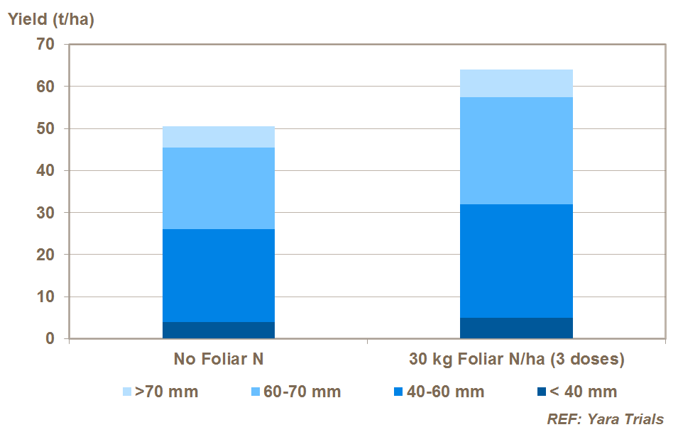 foliar nitrogen and potato yield