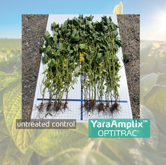 optitrac trial on soybeans