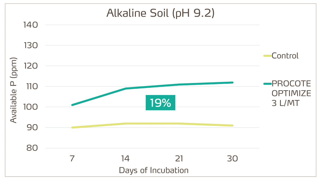 phosphorus fixation on alkaline soil