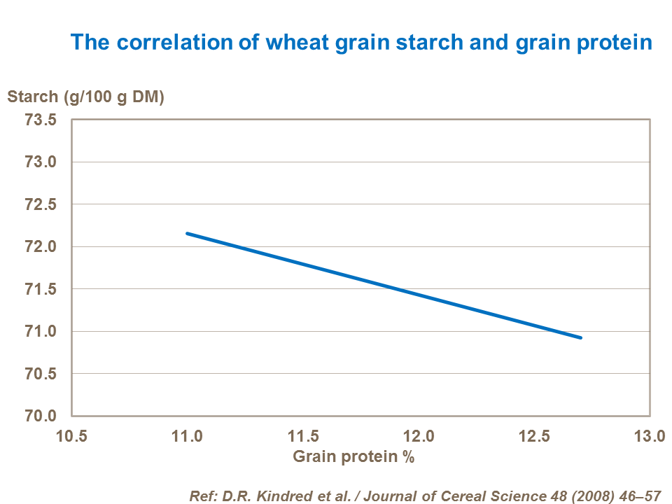 The correlation of wheat grain starch and grain protein