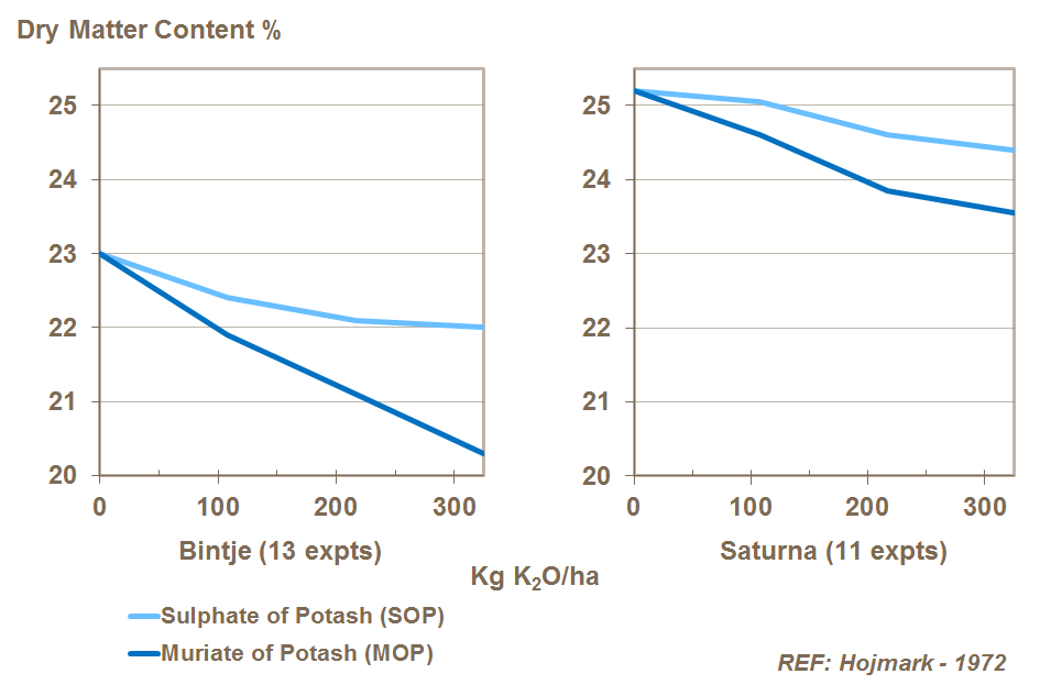 potassium form and potato dry matter