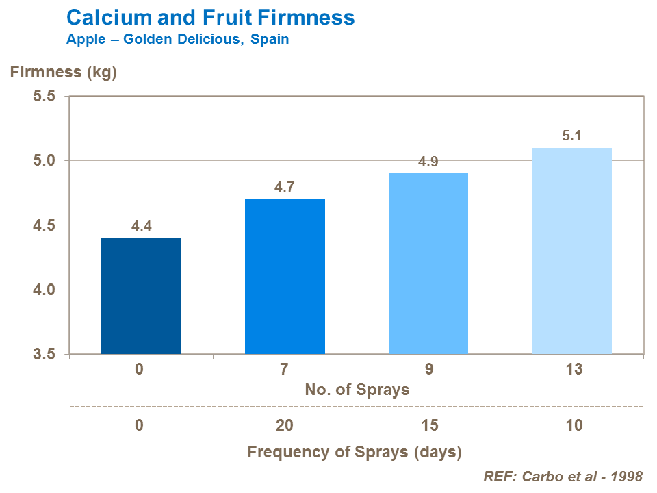 calcium and apple fruit firmness