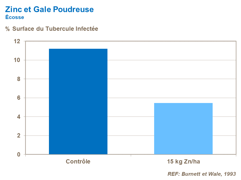 FR-skin finish_zinc and powedery scab.png