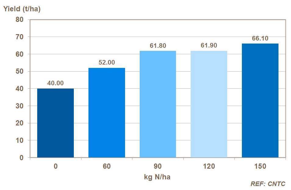 nitrogen and potato yield