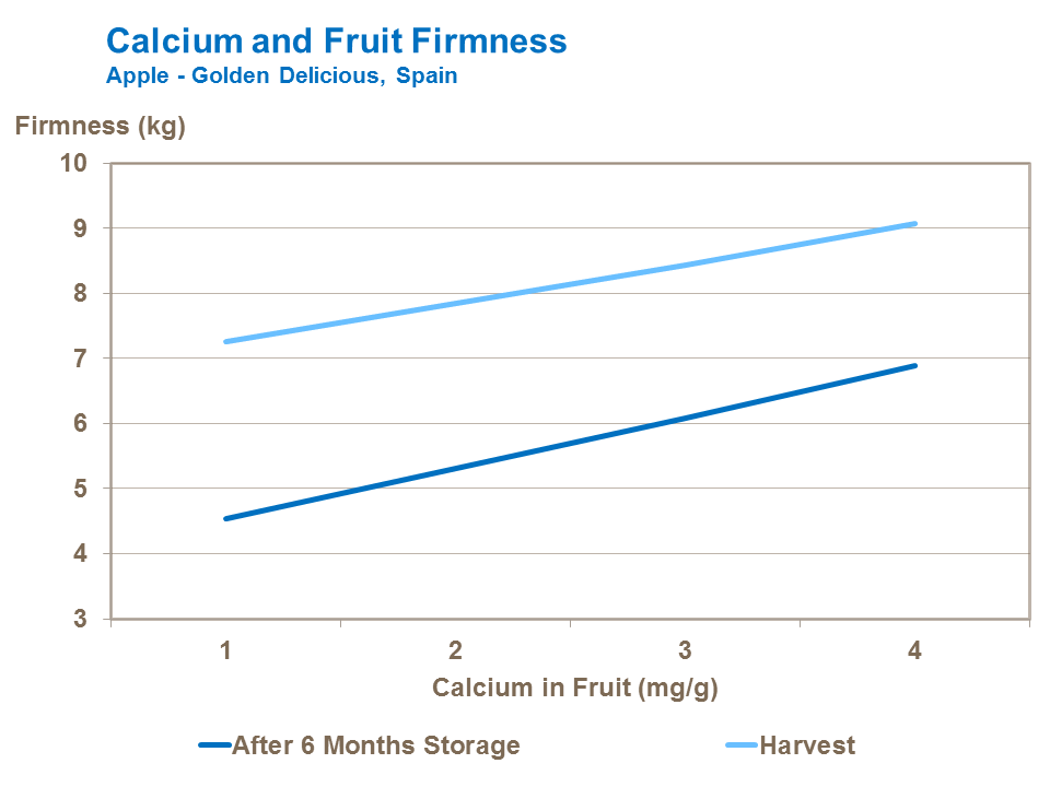 calcium and apple fruit firmness