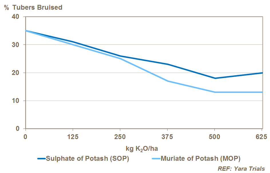 potassium form and potato bruising