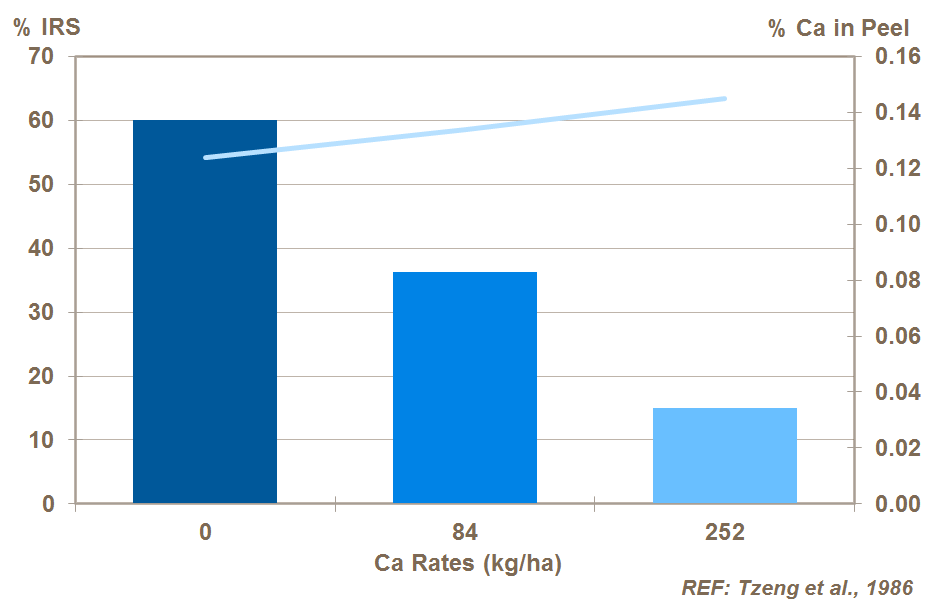 calcium and potato internal brown