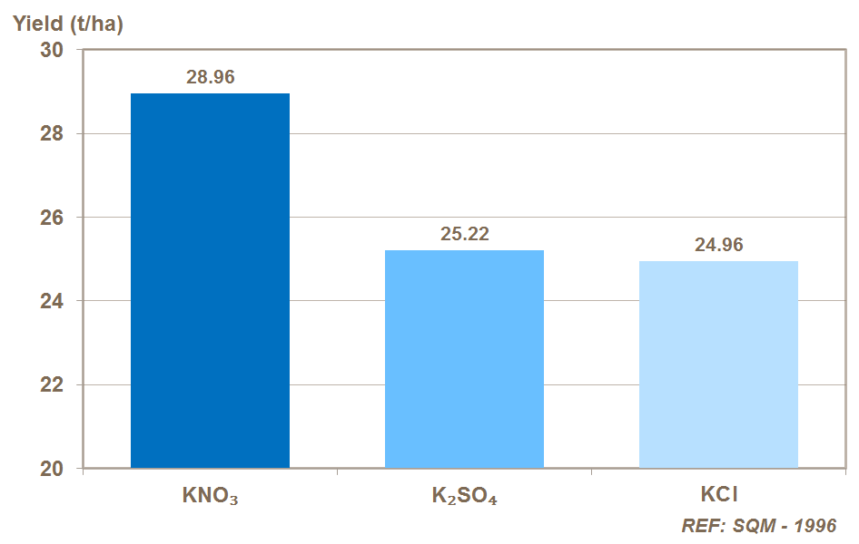 potassium form and potato yield