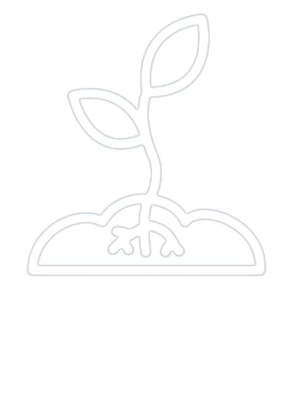 improved root growth