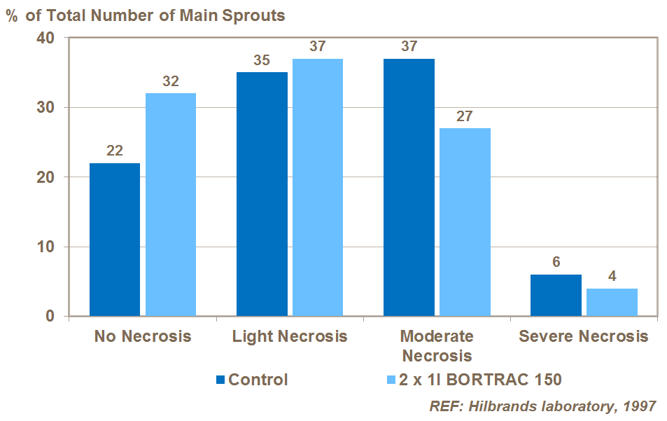 boron and potato apical necrosis