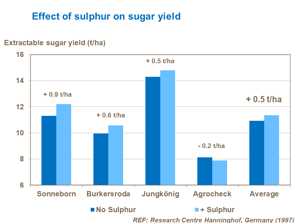 Effect of sulphur on sugar yield