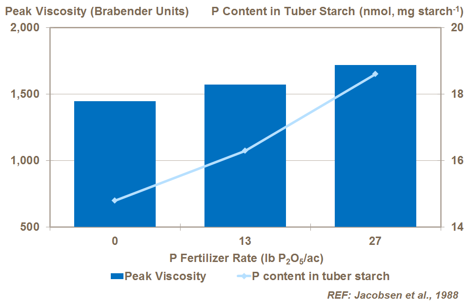 phosphorus and potato starch viscosity