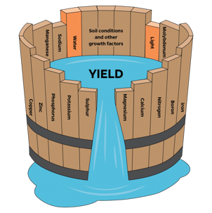 barrel - law of liebig.png