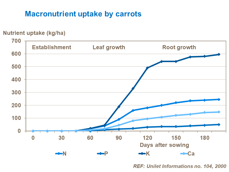 Nutrient uptake by carrot.png